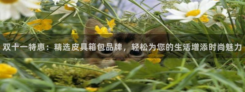 卧龙娱乐官网网址
