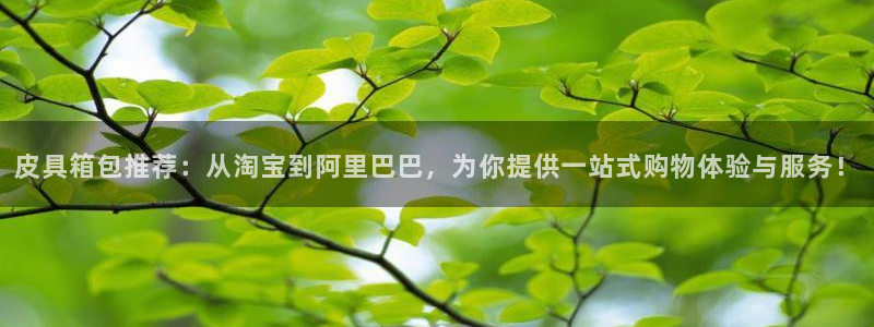 绥阳卧龙湖娱乐场地