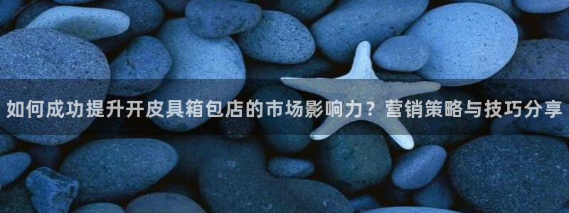卧龙娱乐招商代理电话