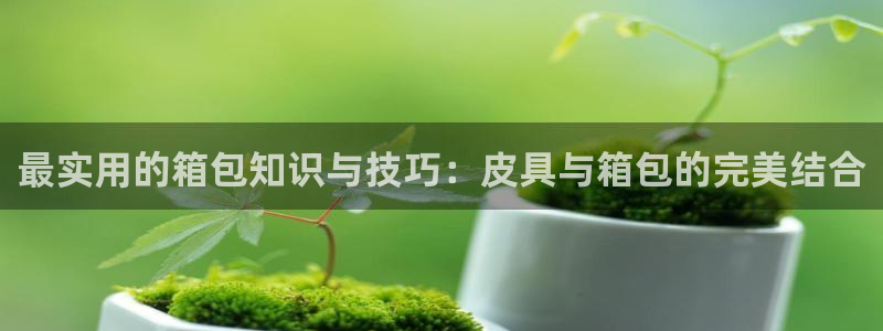 fans娱乐卧龙凤雏