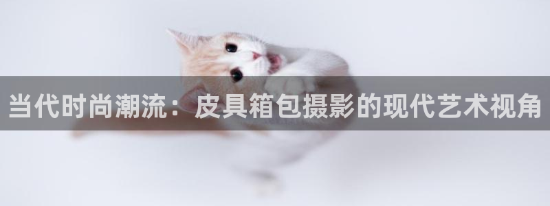 at娱乐 0 47卧龙