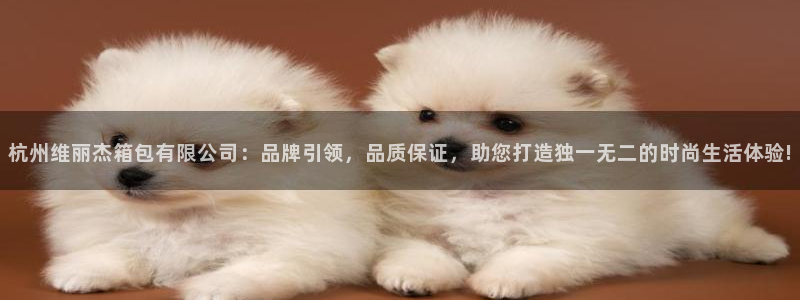 南阳卧龙娱乐城