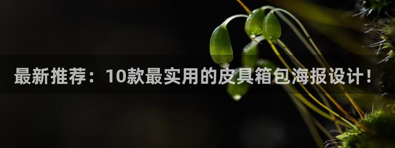 卧龙娱乐天7O667
