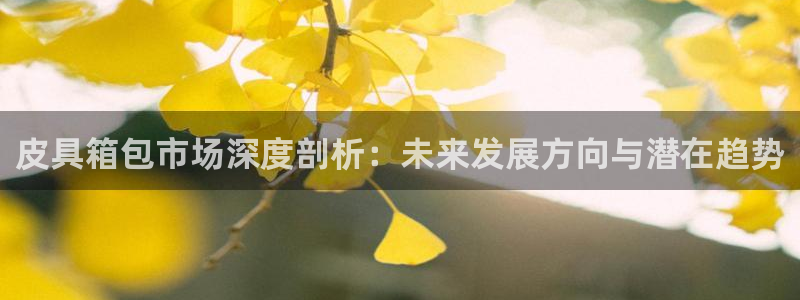 卧龙娱乐app彩票中奖