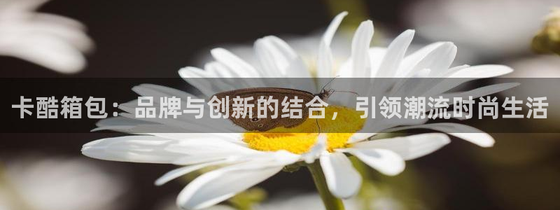 卧龙2娱乐雀711112