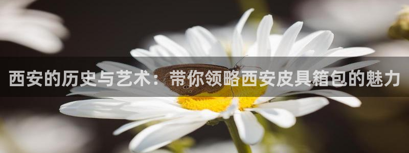 卧龙沟娱乐场