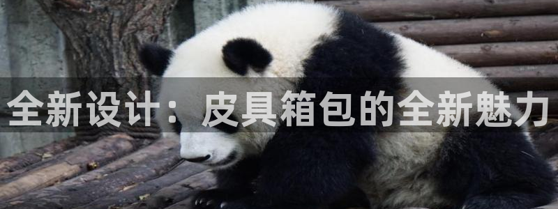 卧龙娱乐前7O667