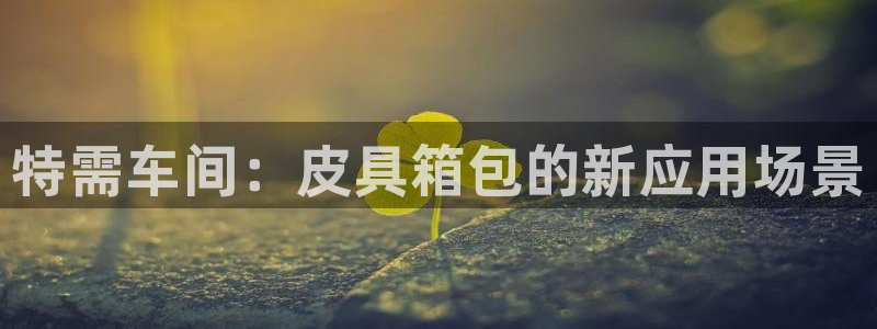 卧龙娱乐在线直播平台