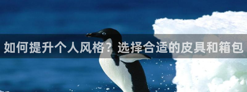 卧龙休闲娱乐推荐