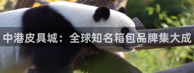 卧龙娱乐挂机平台
