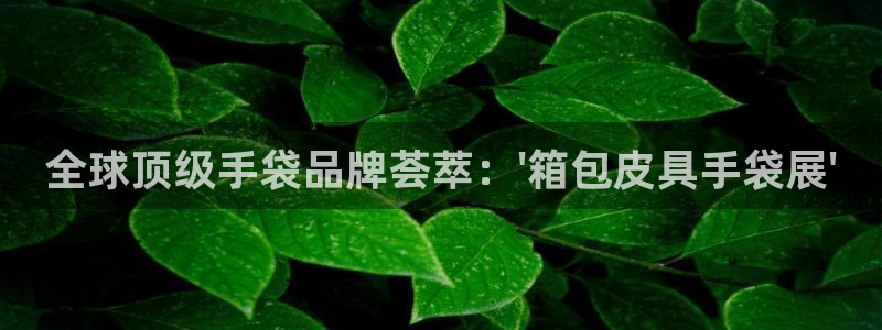 太和卧龙娱乐会所