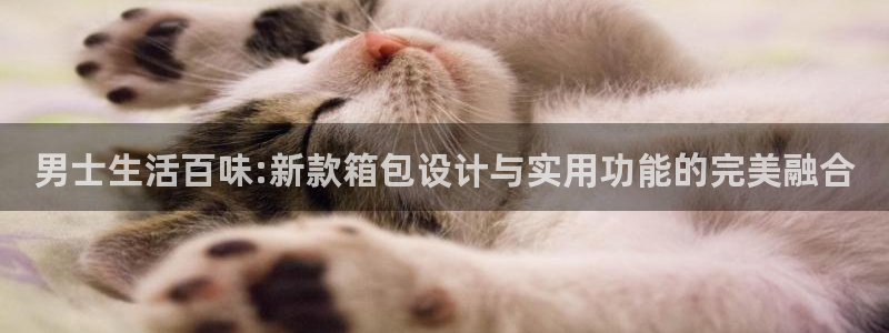 卧龙凤雏娱乐收入