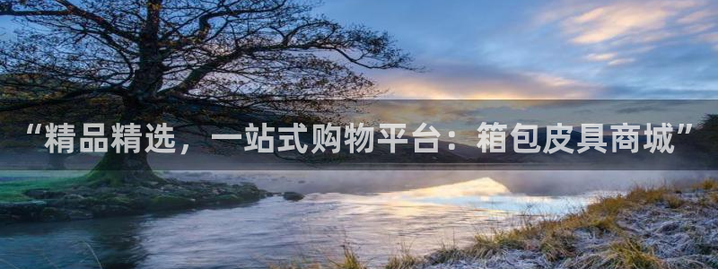 卧龙游乐娱乐设备