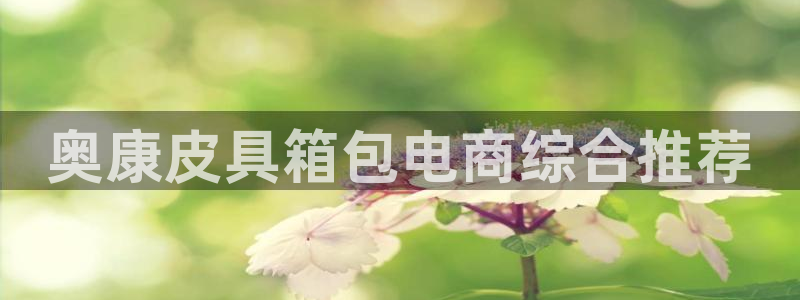 卧龙凤雏娱乐运城