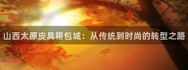 卧龙凤雏娱乐夫妻