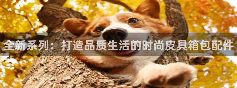 卧龙休闲娱乐人气推荐