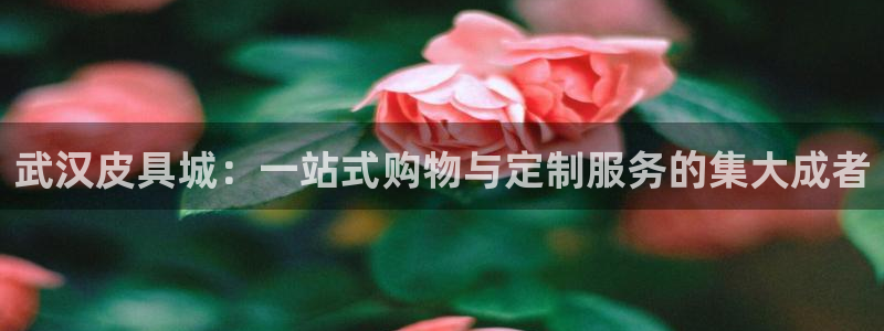 卧龙娱乐招商