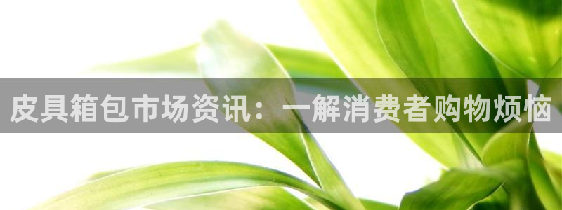 卧龙风雏娱乐