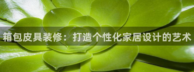 卧龙2神机娱乐
