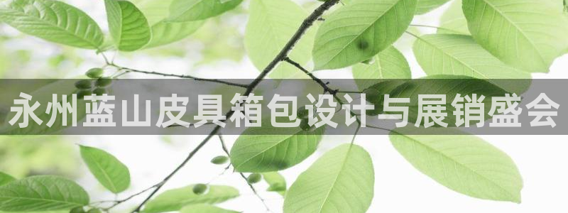 卧龙娱乐在线直播观看