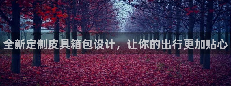 卧龙娱乐挂机软件