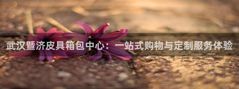 卧龙娱乐前