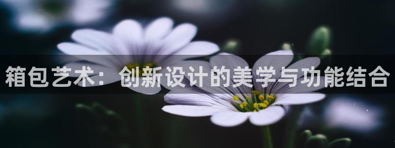 卧龙娱乐总管是谁呀