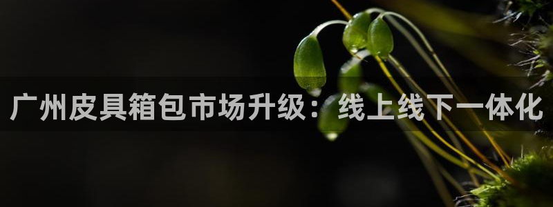 卧龙棋牌娱乐官网