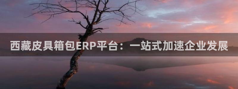 卧龙娱乐是真假吗