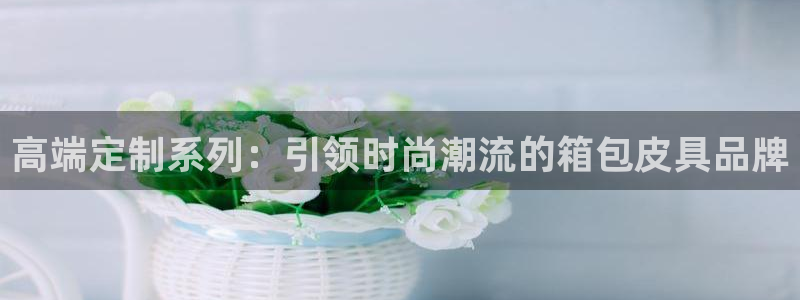 柏林娱乐 柏林卧龙 0