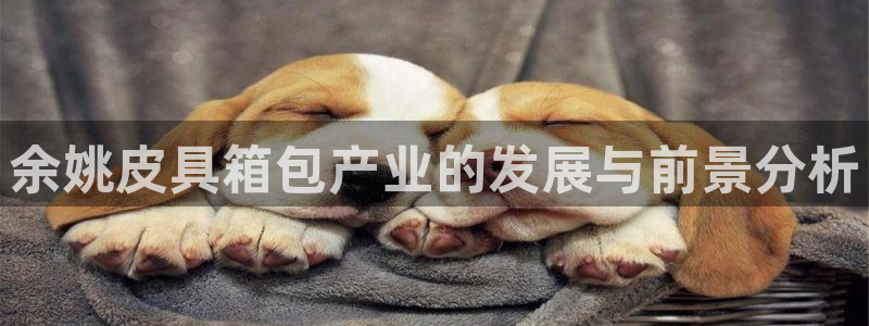卧龙娱乐挂机平台