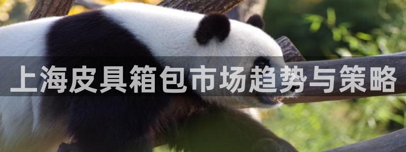 卧龙娱乐天