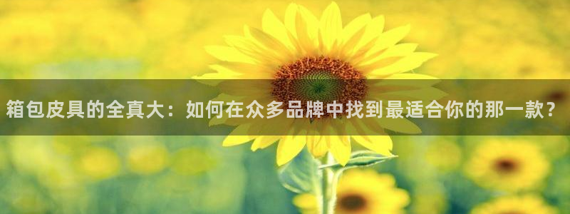 卧龙娱乐右7O667