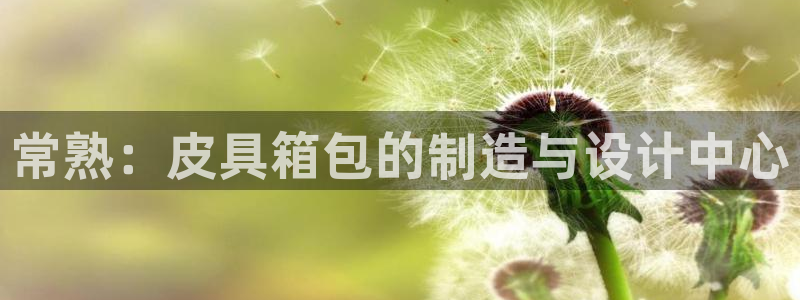 郑州卧龙娱乐王凯旋简历
