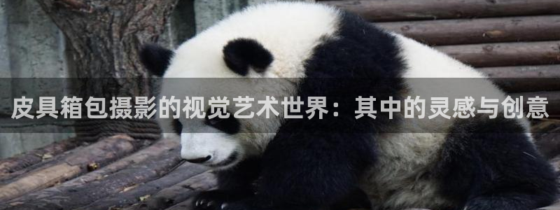 南阳卧龙娱乐城