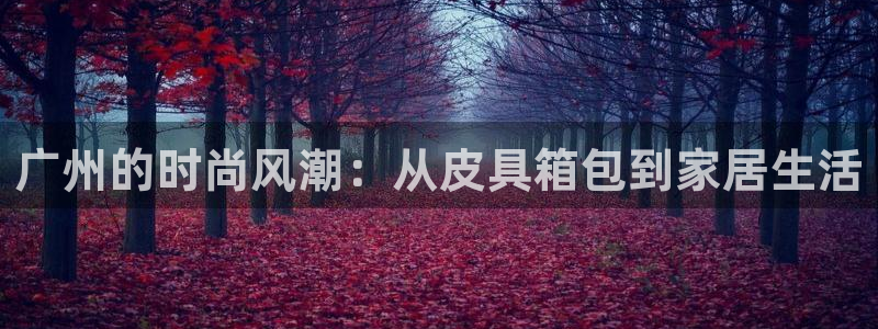 卧龙区社交娱乐