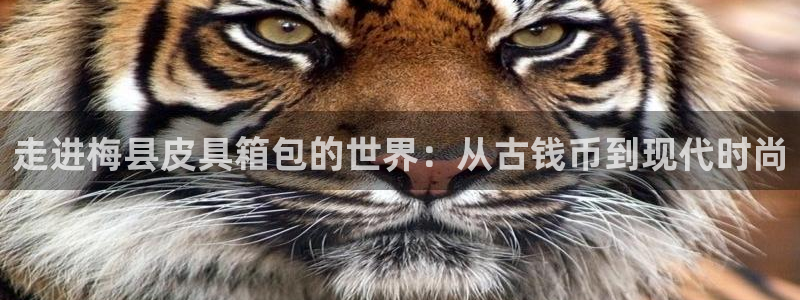 卧龙娱乐靠谱吗