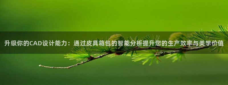郑州卧龙娱乐王凯旋简历