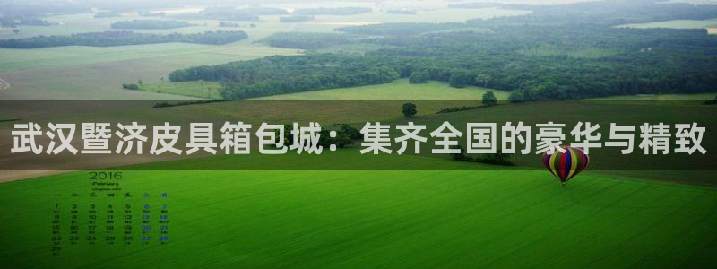 卧龙娱乐总代理是谁呀