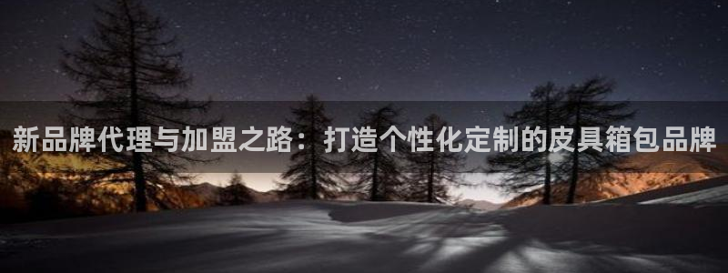 卧龙娱乐老板是谁