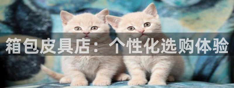 南阳卧龙娱乐会所评价