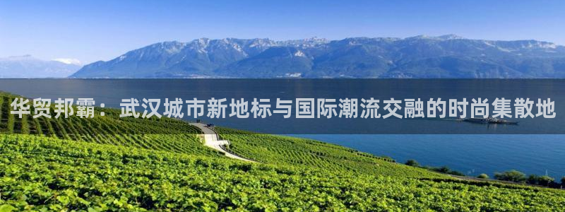 卧龙凤雏娱乐版