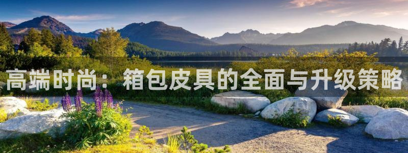 卧龙娱乐挂机平台