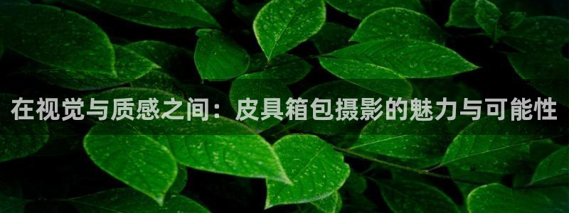 卧龙湾儿童娱乐项目价格