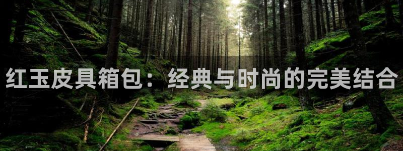 卧龙娱乐属于什么公司