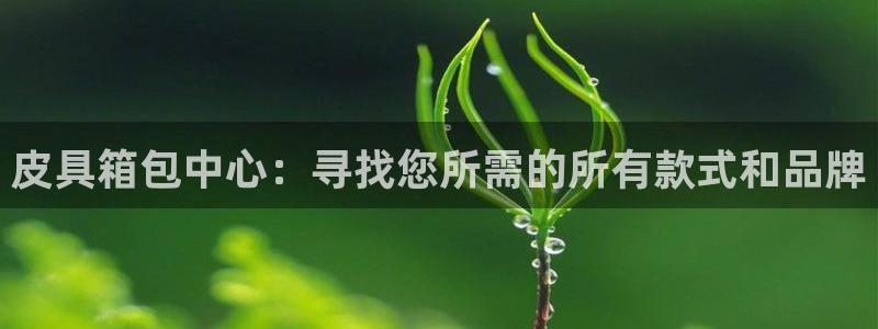 卧龙ktv娱乐会所电话