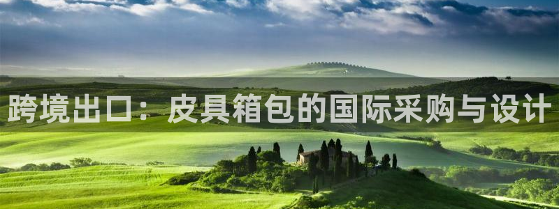 卧龙凤雏娱乐版