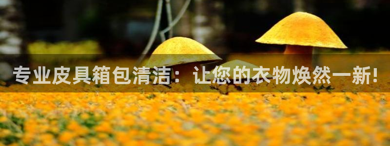 卧龙居餐饮娱乐