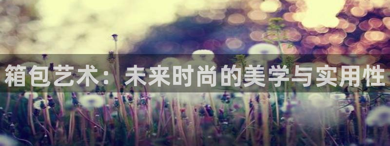 卧龙娱乐网址多少