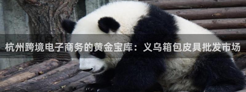 卧龙区社交娱乐